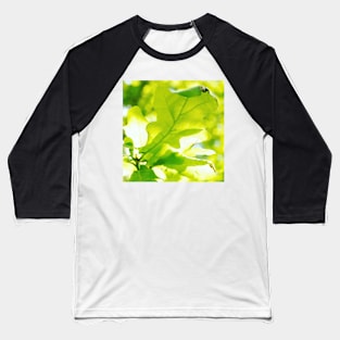 Oak Leaves in Sunlight Baseball T-Shirt